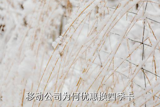 移動(dòng)公司為何優(yōu)惠換四季卡