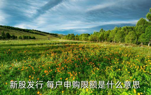 新股發(fā)行 每戶申購限額是什么意思