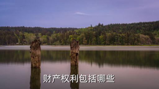 什么是財(cái)產(chǎn)權(quán)益，什么是財(cái)產(chǎn)權(quán)利