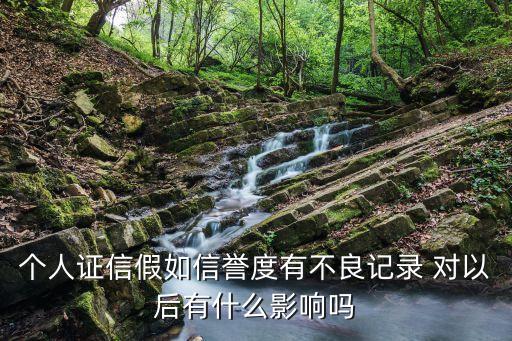 個人證信假如信譽(yù)度有不良記錄 對以后有什么影響嗎