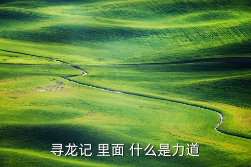 力道是什么意思，尋龍記 里面 什么是力道