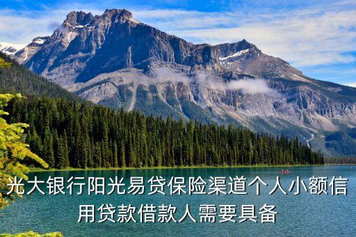 陽(yáng)光易貸需要什么條件，加盟陽(yáng)光易貸該具備的條件是什么急求