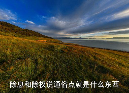 除息和除權說通俗點就是什么東西
