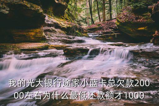 光大途家小藍卡什么用，我的光大銀行途家小藍卡總欠款20000左右為什么最低還款額才1000
