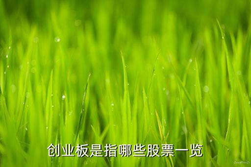 創(chuàng)業(yè)板是指哪些股票一覽