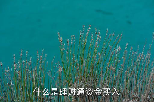 簡理財(cái)買入是什么，什么是理財(cái)通資金買入