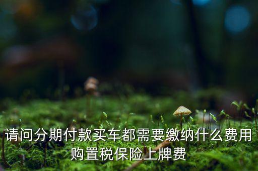 請問分期付款買車都需要繳納什么費(fèi)用購置稅保險(xiǎn)上牌費(fèi)