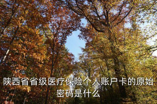 陜西省省級醫(yī)療保險(xiǎn)個(gè)人賬戶卡的原始密碼是什么