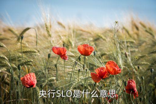 slo回收流動性什么意思，回收流動性是什么意思