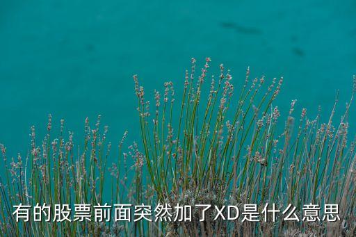 有的股票前面突然加了XD是什么意思