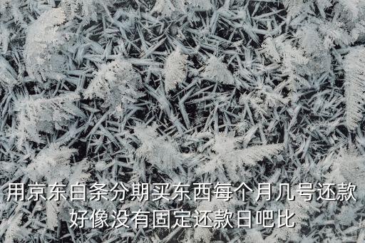 用京東白條分期買東西每個月幾號還款好像沒有固定還款日吧比