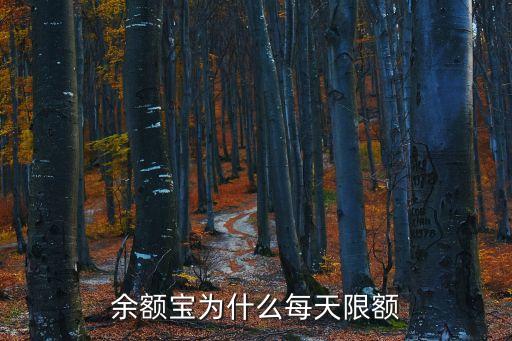 余額寶為什么設(shè)置額度，為什么余額寶要設(shè)置1000000上限什么原因