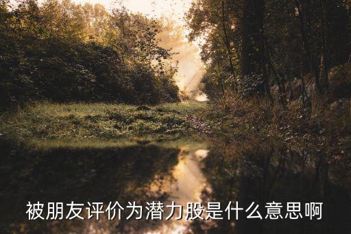 被朋友評(píng)價(jià)為潛力股是什么意思啊