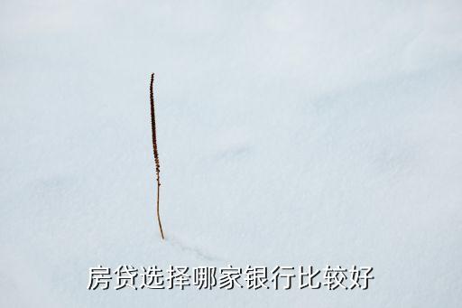 買房子貸款用什么銀行好，買房按揭哪個(gè)銀行好