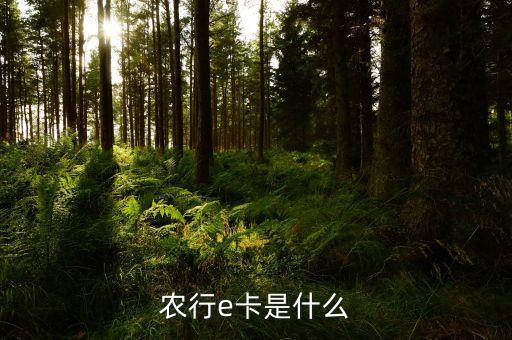 農(nóng)行e卡是什么