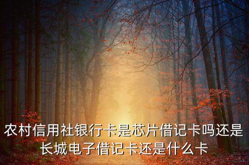 農(nóng)村信用社銀行卡是芯片借記卡嗎還是長(zhǎng)城電子借記卡還是什么卡