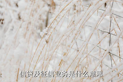 征信業(yè)務(wù)是什么，信貸及征信業(yè)務(wù)是什么意思