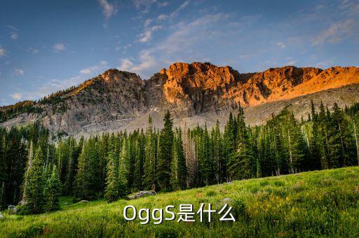 OggS是什么