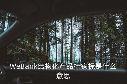 WeBank結(jié)構(gòu)化產(chǎn)品掛鉤標(biāo)是什么意思