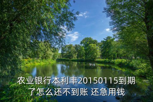 農(nóng)業(yè)銀行本利豐20150115到期了怎么還不到賬 還急用錢