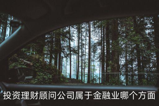 投資理財顧問公司屬于金融業(yè)哪個方面