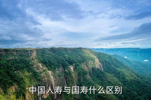 中國(guó)人壽與國(guó)壽什么區(qū)別