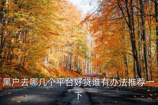 黑戶去哪幾個平臺好貸誰有辦法推薦一下