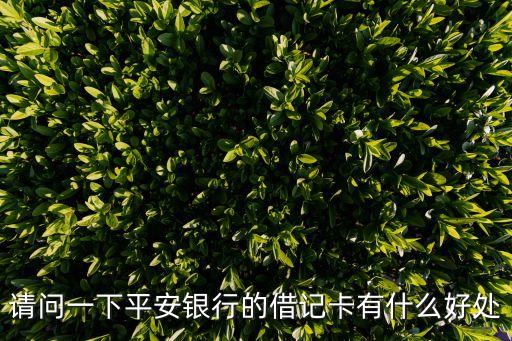 平安借記卡有什么作用，請問一下平安銀行的借記卡有什么好處