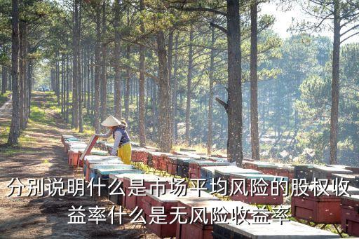 什么是無風(fēng)險(xiǎn)收益率，什么是無風(fēng)險(xiǎn)利率