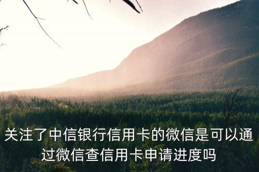 關(guān)注了中信銀行信用卡的微信是可以通過微信查信用卡申請進(jìn)度嗎