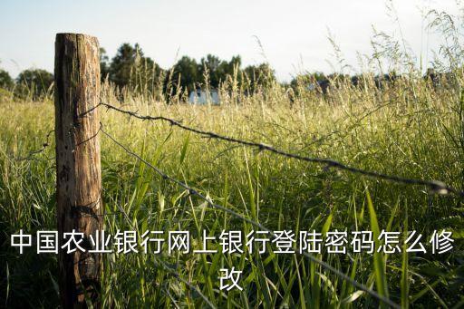 農(nóng)行登陸密碼怎么改密碼，農(nóng)行app登陸密碼怎么修改