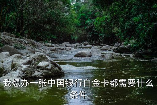 中行30萬額度是什么卡，中信銀行白金信用卡額度是多少