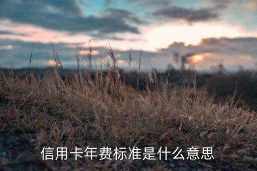 中信年費標準是什么意思，信用卡年費標準是什么意思