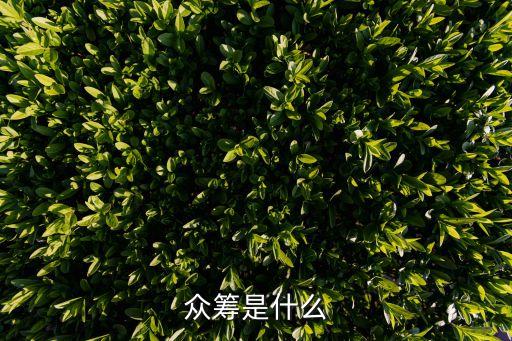 眾籌是什么