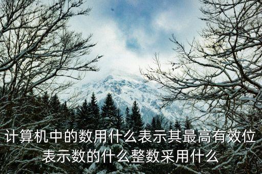 計算機中的數(shù)用什么表示其最高有效位表示數(shù)的什么整數(shù)采用什么