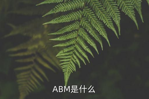 整數(shù)關(guān)口是什么，ABM是什么