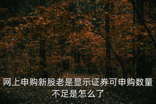 證券可申購(gòu)數(shù)量不足是什么意思，可申購(gòu)額度不足是什么意思小白一個(gè)求大神指點(diǎn)