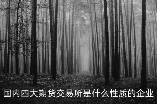 中金所是什么機(jī)構(gòu)，國內(nèi)四大期貨交易所是什么性質(zhì)的企業(yè)