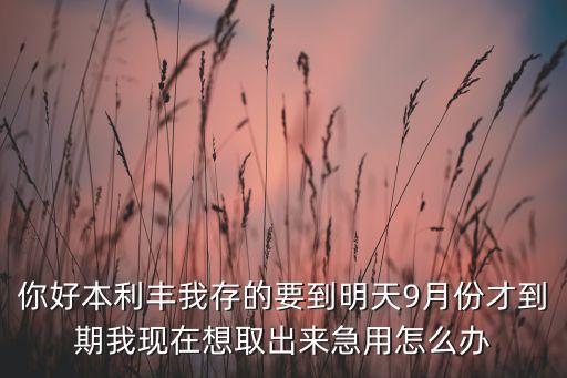 你好本利豐我存的要到明天9月份才到期我現(xiàn)在想取出來急用怎么辦