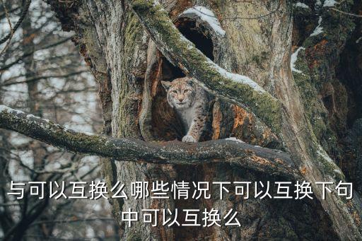 與可以互換么哪些情況下可以互換下句中可以互換么