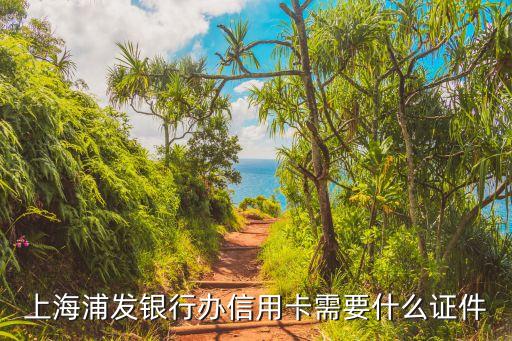 上海浦發(fā)銀行辦信用卡需要什么證件