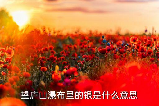 傳統(tǒng)銀是什么意思是什么意思是什么，銀是什么意思