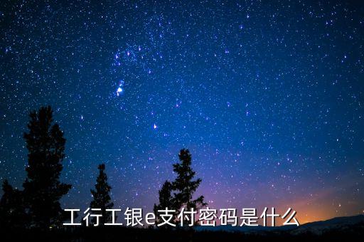 工行工銀e支付密碼是什么