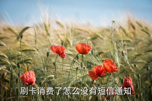 刷卡消費(fèi)了怎么沒有短信通知
