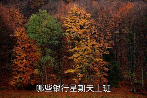 哪些銀行星期天上班