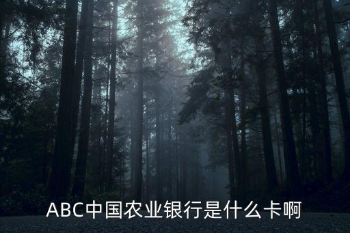 綠色銀聯(lián)是什么銀行，ABC中國(guó)農(nóng)業(yè)銀行是什么卡啊
