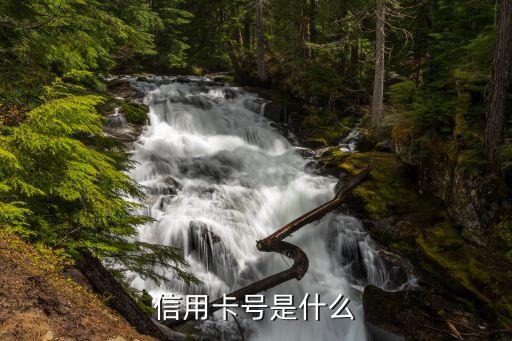 什么叫信用卡號，信用卡卡號什么意思