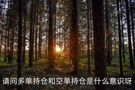 請(qǐng)問(wèn)多單持倉(cāng)和空單持倉(cāng)是什么意識(shí)呀