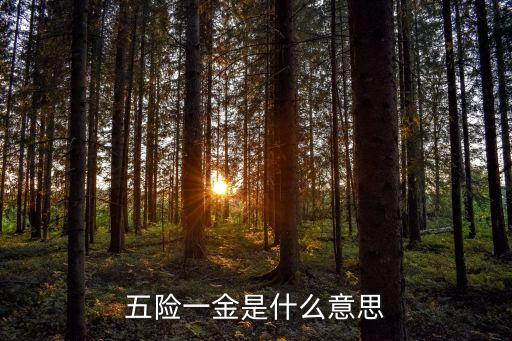 五險一金是什么意思