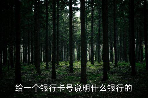 給一個(gè)銀行卡號(hào)說(shuō)明什么銀行的